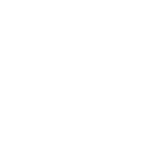 Bipolar Disorder icon
