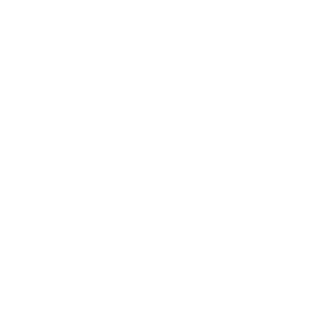 07-icon-schizophrenia.png