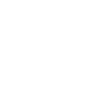 PTSD icon